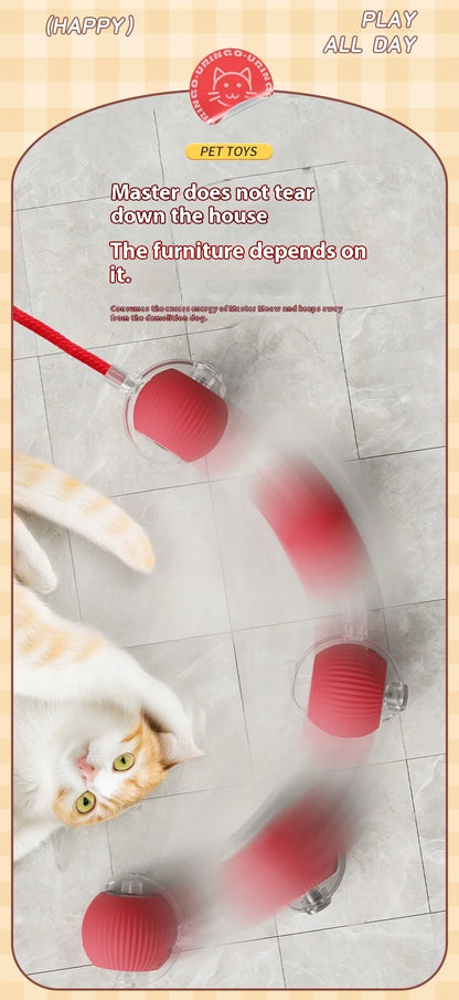 Cat Interactive Ball Toys Automatic Rolling Ball Faux Tail Rechargeable