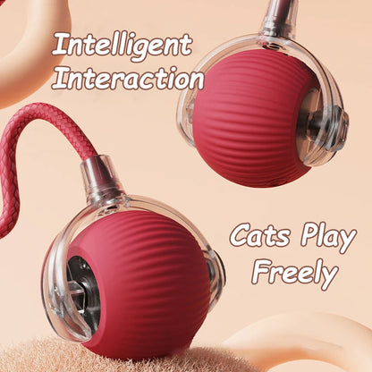 Cat Interactive Ball Toys Automatic Rolling Ball Faux Tail Rechargeable