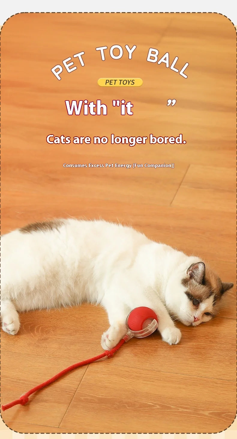 Cat Interactive Ball Toys Automatic Rolling Ball Faux Tail Rechargeable