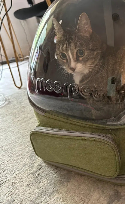 Transparent Folding Pet Carrier Backpack Travel Tote Cat Carrier Bag Outdoor