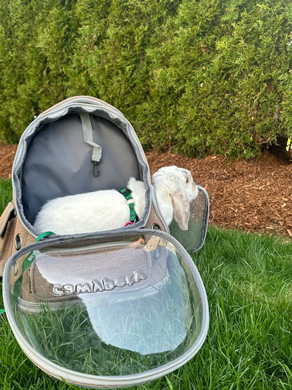 Transparent Folding Pet Carrier Backpack Travel Tote Cat Carrier Bag Outdoor