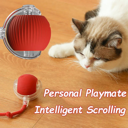 Cat Interactive Ball Toys Automatic Rolling Ball Faux Tail Rechargeable