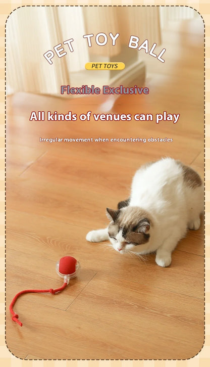 Cat Interactive Ball Toys Automatic Rolling Ball Faux Tail Rechargeable