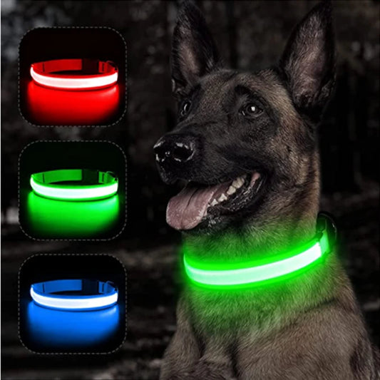 USB Rechargeable Luminous Collar Adjustable Led Glowing Dog Collar
