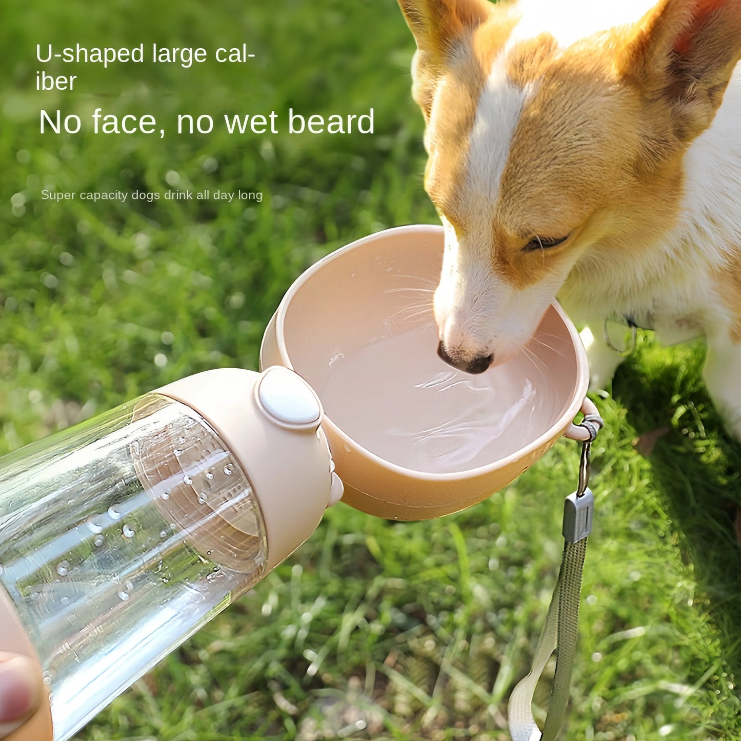 Dog & Cat Portable Water Bowl Portable Food Grade Material