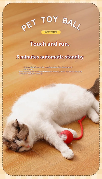 Cat Interactive Ball Toys Automatic Rolling Ball Faux Tail Rechargeable