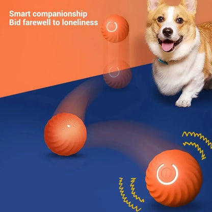 Dog Toy Ball Automatic Moving Bouncing Rolling Ball
