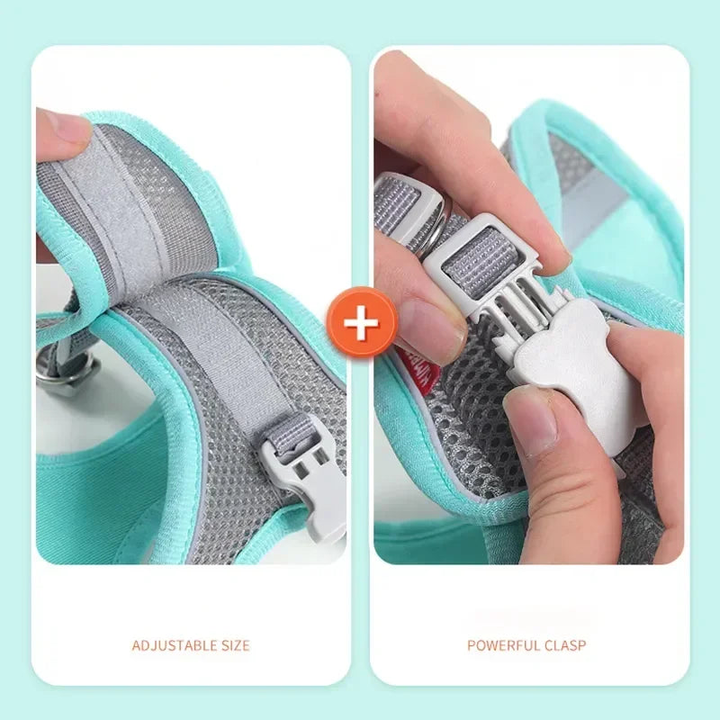 Cats Dog Accessories Small Dog Collar Safety Vest