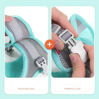 Cats Dog Accessories Small Dog Collar Safety Vest