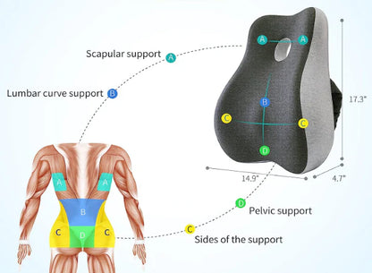Best Orthopedic Seat For Office or Car Cushion of USA