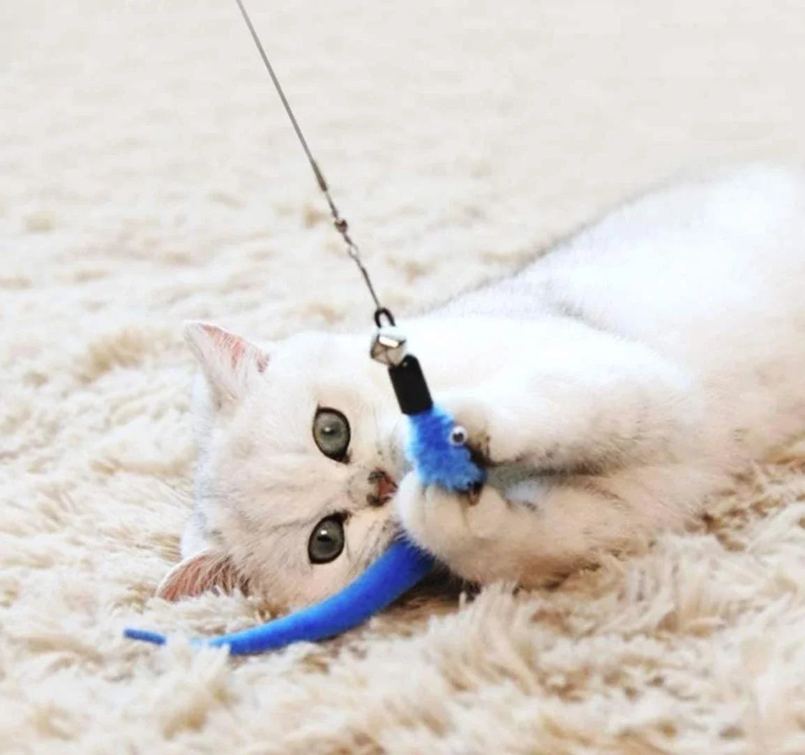 11pcs Replacement Cat Feather Toy Set Feather Replacement Head Retractable Cat Stick