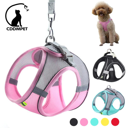Dog Harness Leash Set for Small Dogs Adjustable Puppy Cat Harness Vest
